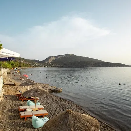 Seaside Aliki (Boeotia)