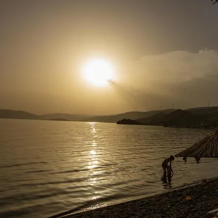 Seaside Hotel Aliki (Boeotia)
