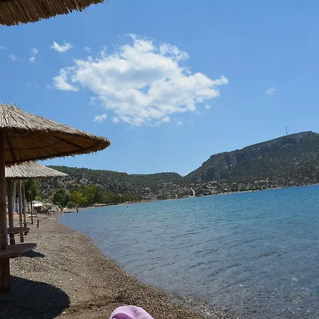 Seaside Hotel *