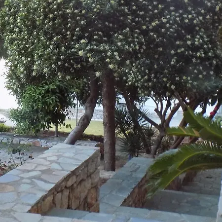 Seaside Aliki (Boeotia)