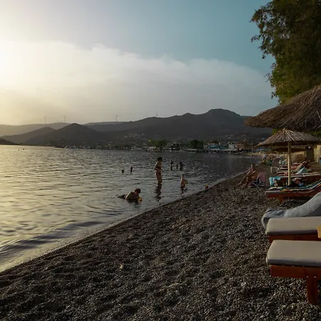 Seaside Aliki (Boeotia)